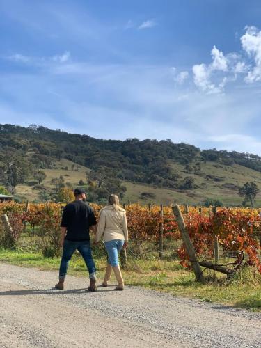 Lake George Winery