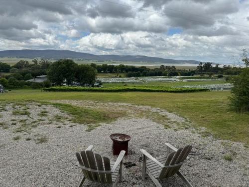 Lake George Winery